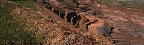 La mine Argyle Diamond